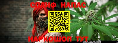 ГАЛЛЮЦИНОГЕННЫЕ ГРИБЫ Кандалакша