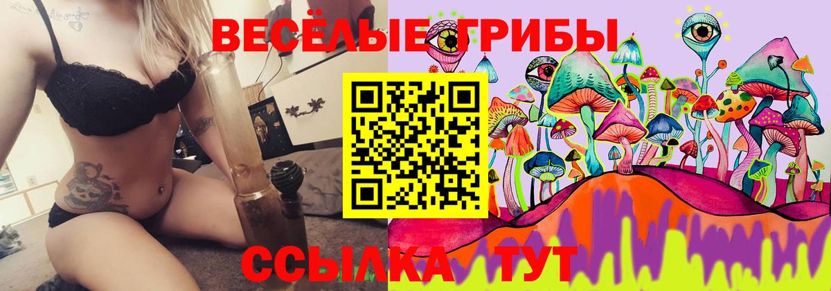 Псилоцибиновые грибы Cubensis Дагестанские Огни