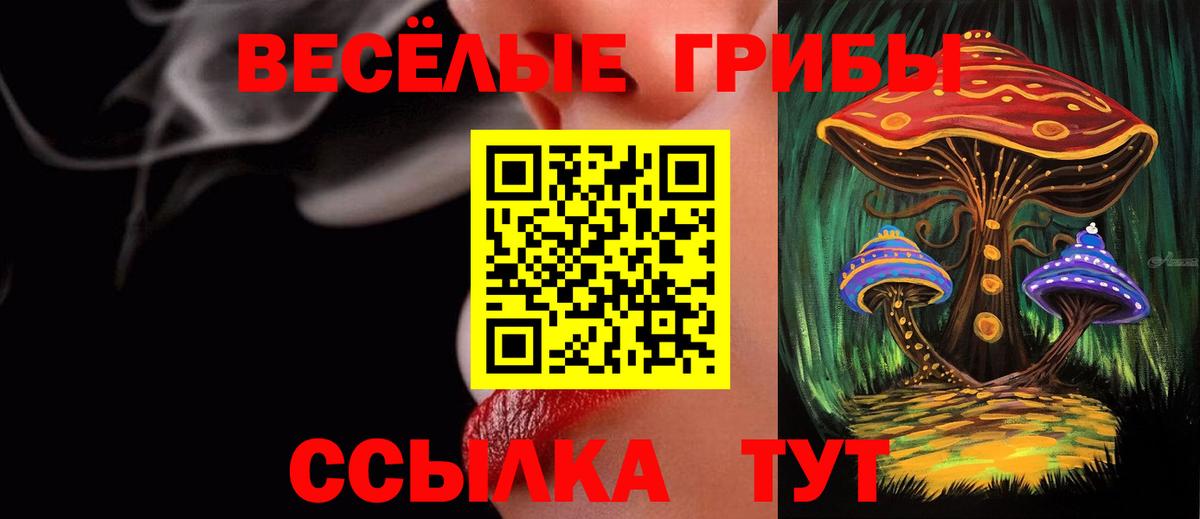 Дагестанские Огни  Галлюциногенные грибы Cubensis  Вход с VPN  Псилоцибиновые грибы мицелий 